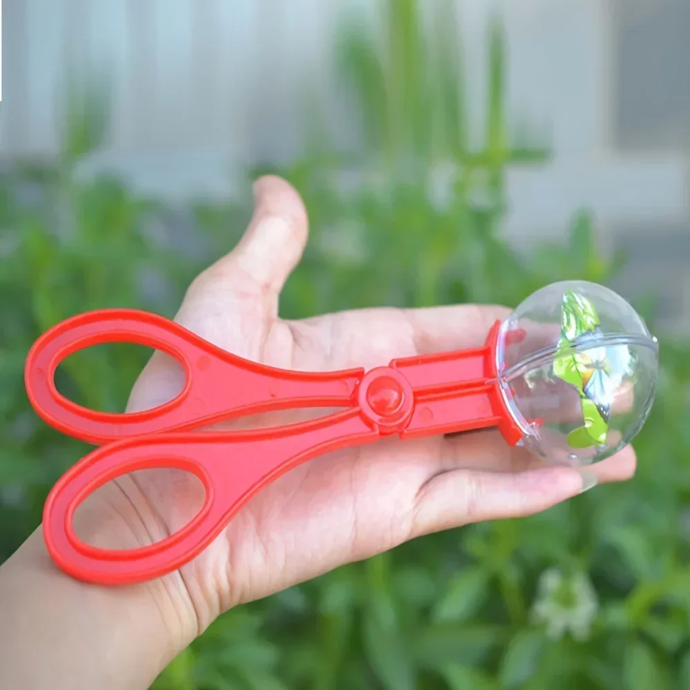 กรรไกรจับแมลงลูกปัดหลากสีขนาดใ - Outdoor Adventure With Kids บทวิจารณ์และราคา